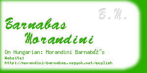 barnabas morandini business card